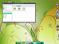 moon OS